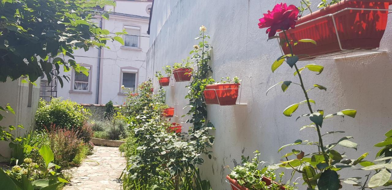 Garden Apartments Belgrade Exterior photo